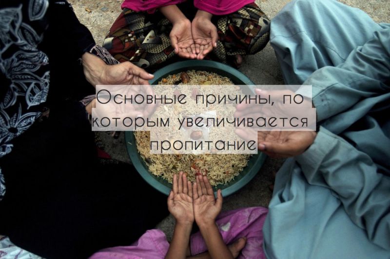 Основные причины, по которым увеличивается пропитание