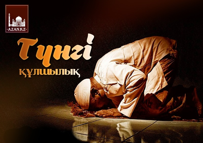 ТҮНГІ ҚҰЛШЫЛЫҚ