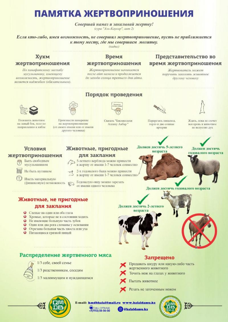 РАЗЪЯСНЕНИЕ ДУМК ПО ВОПРОСАМ О ЖЕРТВОПРИНОШЕНИИ