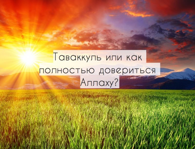 Таваккуль или как полностью довериться Аллаху?