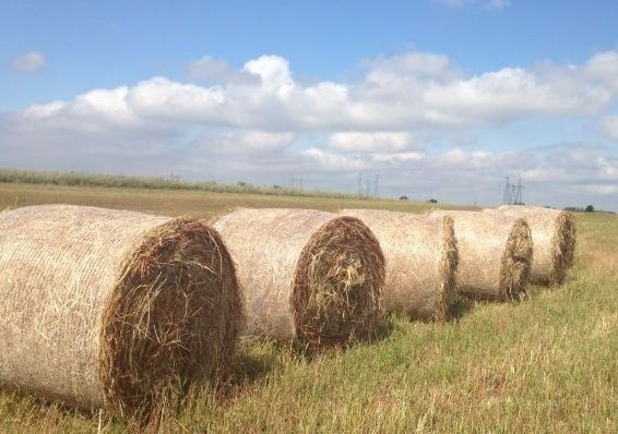 ЕРКІНДІК АУЫЛЫ 400 ОРАМА ШӨП ЖІБЕРДІ