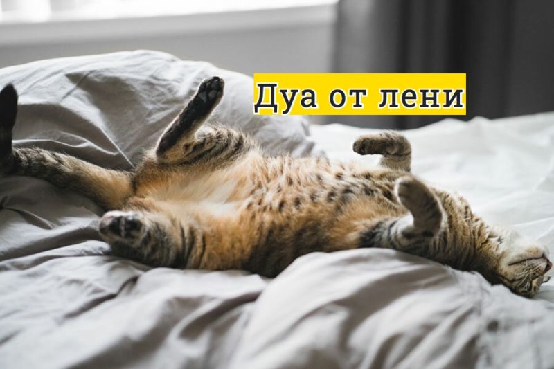 Дуа от лени