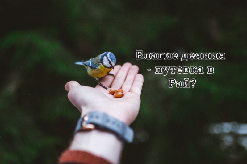 Благие деяния - путевка  в Рай?