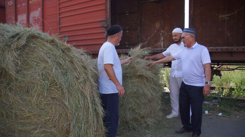 ҚАРАҒАНДЫ БЕЙНЕУ МЕН ЖЕТІБАЙҒА 2 ВАГОН ШӨП ЖІБЕРДІ