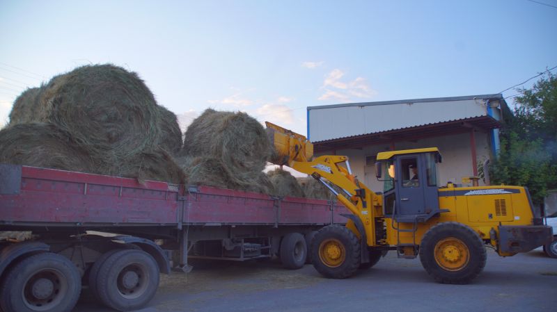 ҚАРАҒАНДЫ БЕЙНЕУ МЕН ЖЕТІБАЙҒА 4 ВАГОН ШӨП ЖІБЕРДІ