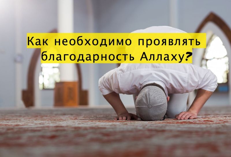 Как необходимо проявлять благодарность Аллаху?
