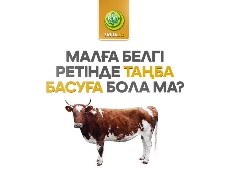 МАЛҒА БЕЛГІ РЕТІНДЕ ТАҢБА БАСУҒА БОЛА МА? 