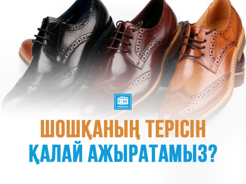 ШОШҚАНЫҢ ТЕРІСІН ҚАЛАЙ АЖЫРАТАМЫЗ?