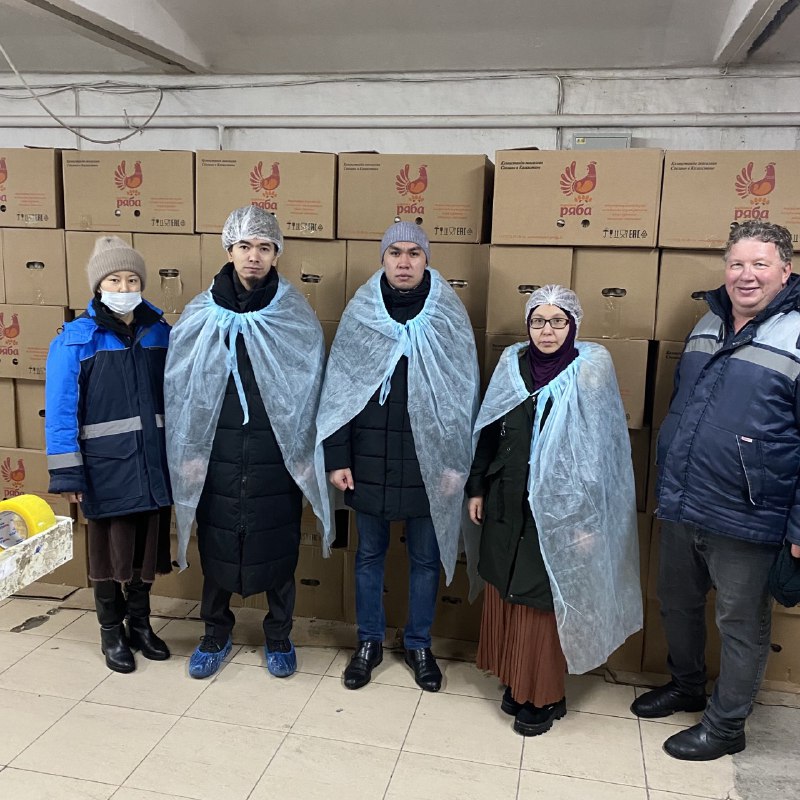 Қарағанды обл.: «Курочка Ряба» жұмыртқа өнімдері тексерілді