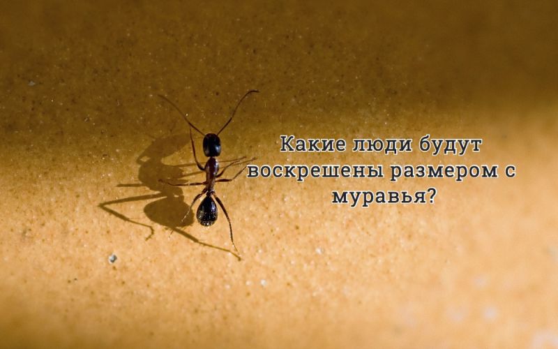 Какие люди будут воскрешены размером с муравья?