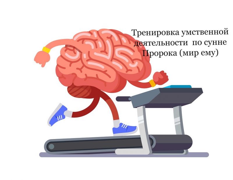 Тренировка умственной деятельности по сунне Пророка (мир ему)