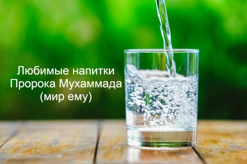 Любимые напитки Пророка Мухаммада (мир ему)