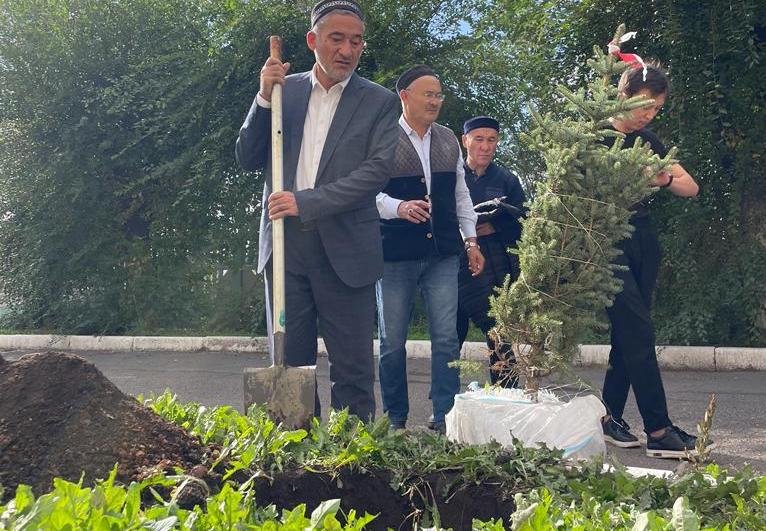 «Бала қажы» мешіті ауласына 25 түп ағаш отырғызылды