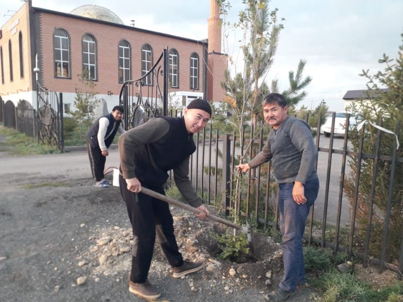 «Қажыбай қажы» мешітінің ауласында тал егу акциясы өтті