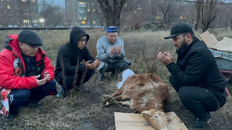 «Төлеутай ата»  мешітінде құрбан шалынды