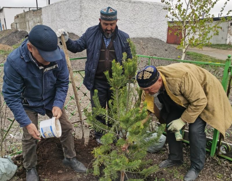 «Жұмабек Тәшен» мешіті ауласына тал отырғызылды