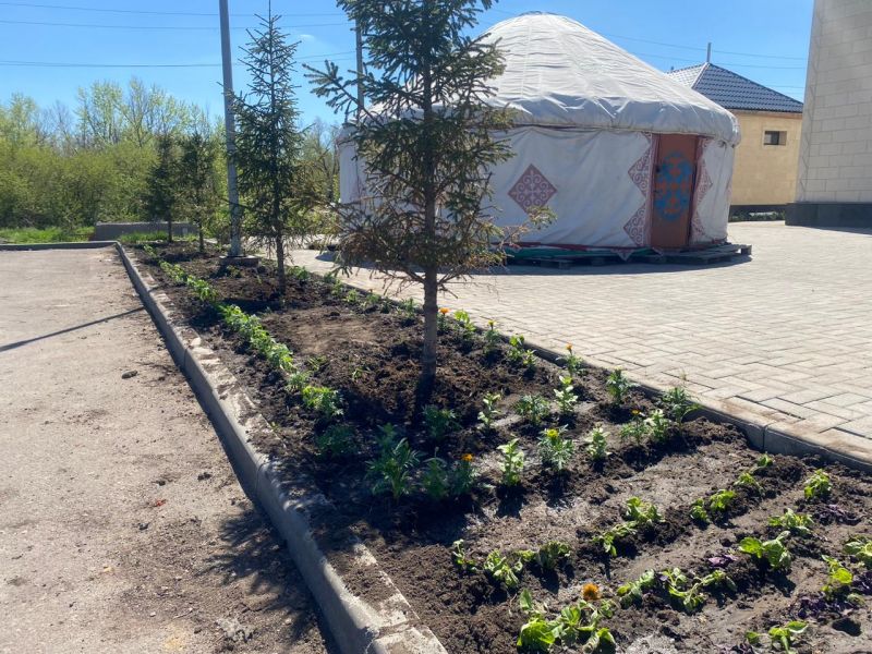  «Төлеутай ата» мешіт ауласына 300 түп гүл егілді