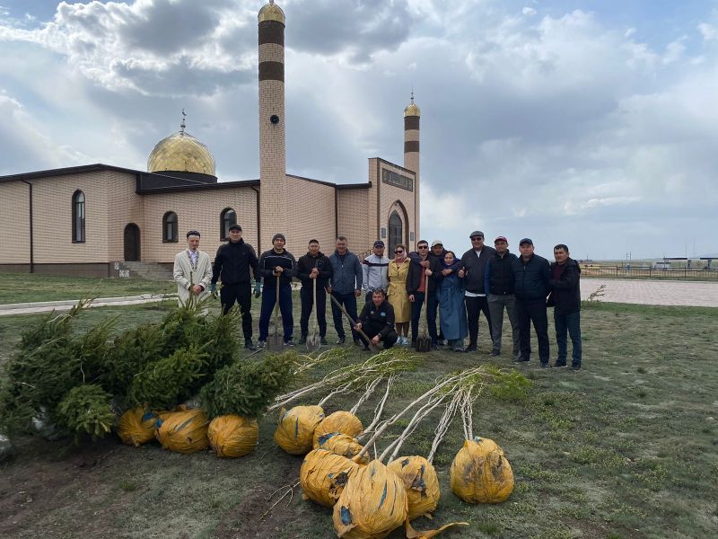 Ақтоғай аудандық мешіті ауласына шырша егілді