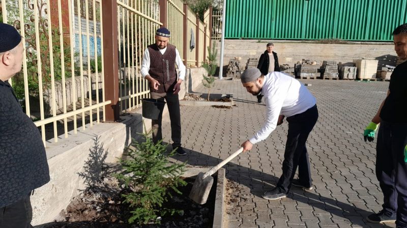 «Жақып Ақбай» мешітіне көшеттер отырғызылды