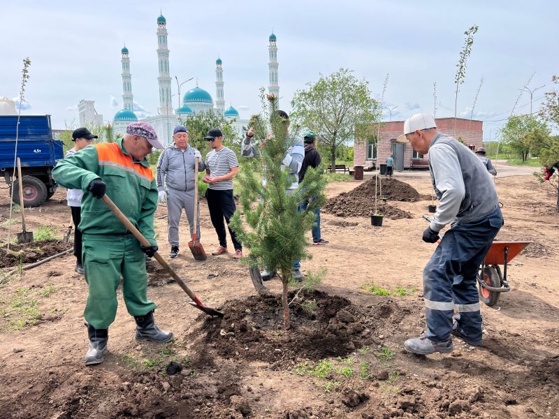 «Әнет баба» мешіті ауласына тал отырғызылды