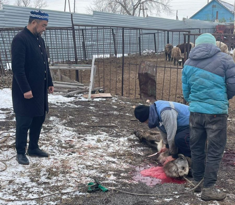 «Жыржыс қажы» мешіті мұқтаж жандарға қайырымдылық көмек көрсетті