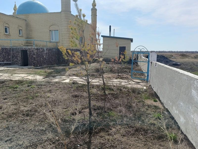 Сенбілік жұмыстары Еркіндік ауылында жалғасын тапты