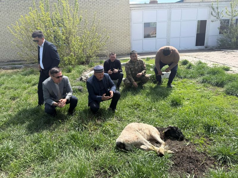 «Жанқұтты би» мешітінде кезекті қайырымдылық ісі жүзеге асты