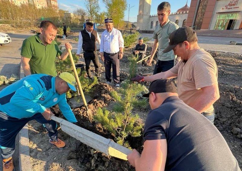  «Әл-Ғаффар» мешітінің ауласына көшеттер отырғызылды