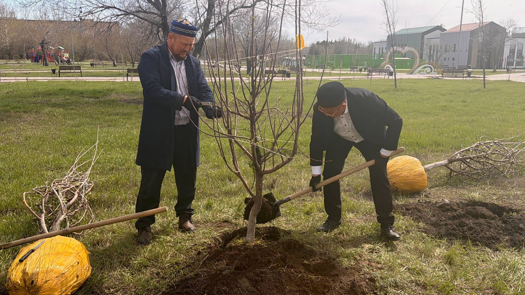 «Төлеутай ата» мешітінің ауласына апорт алма ағашы отырғызылды