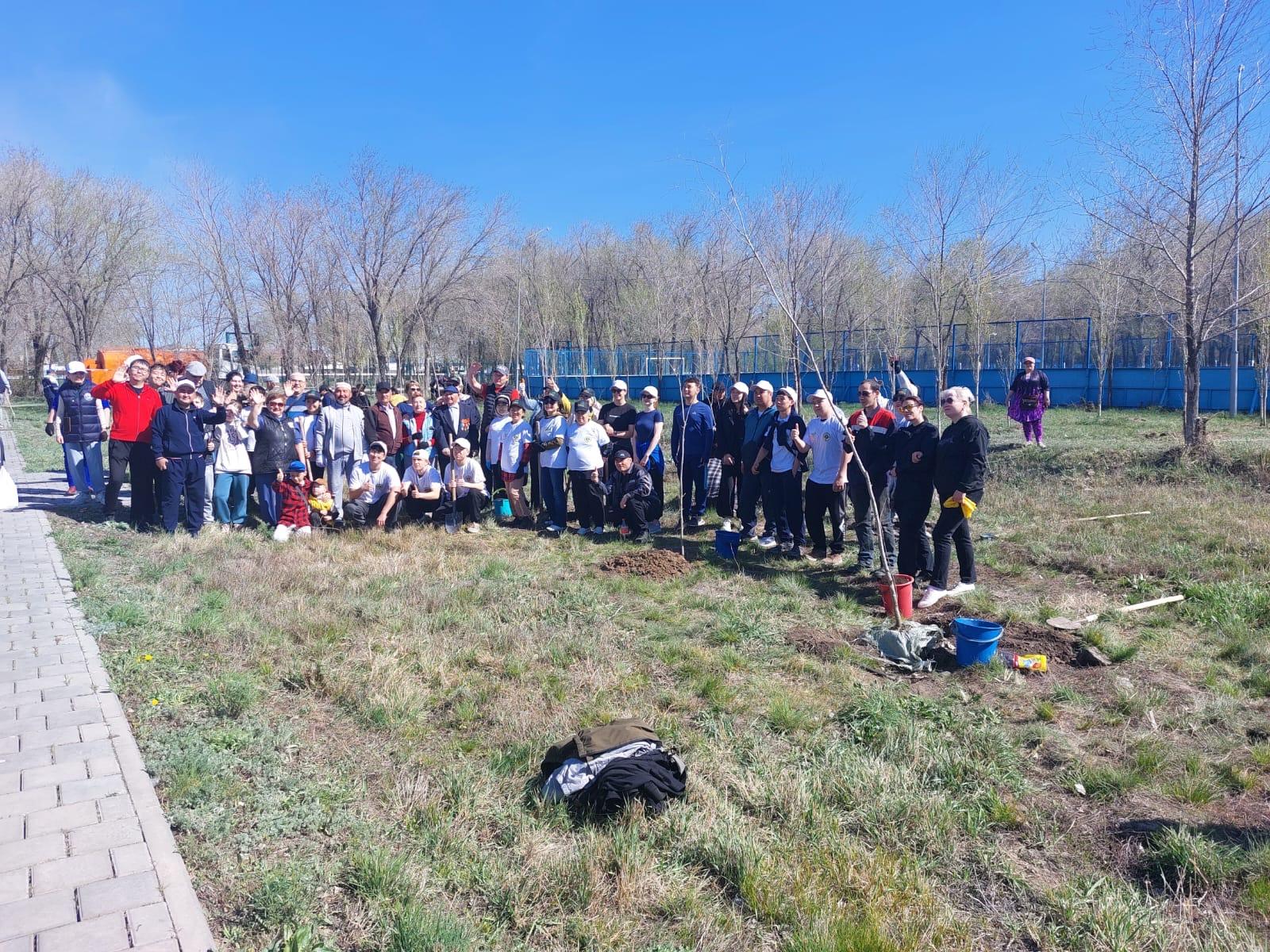 Топар кентінде “Таза Қазақстан” акциясы аясында көшет отырғызу өтті