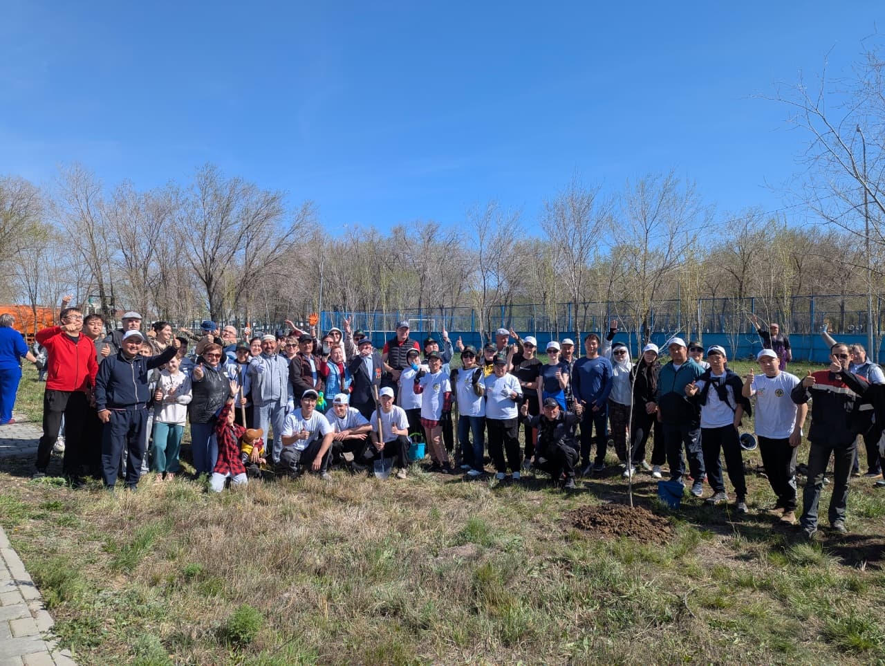 Абай қаласында ауқымды көшет отырғызу шарасы өтті