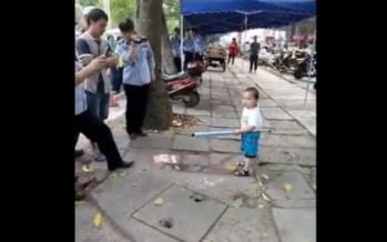 Әжесін полицейлерден қорғаған үш жасар бала (видео)