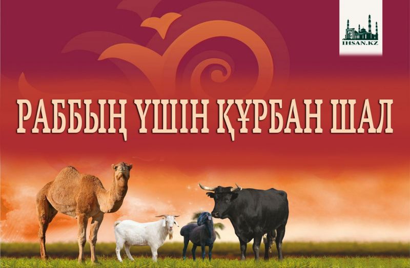 РАББЫҢ ҮШІН ҚҰРБАН ШАЛ