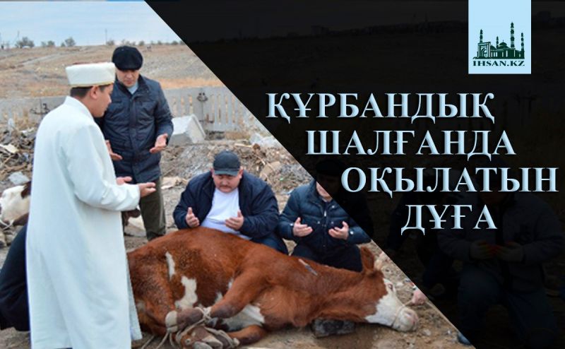 ҚҰРБАНДЫҚ ШАЛҒАНДА ОҚЫЛАТЫН ДҰҒА