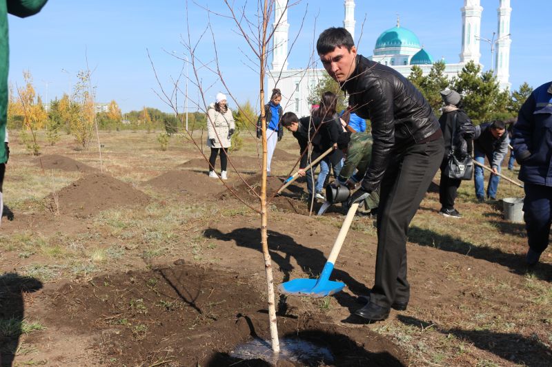 СЕРІК СӘПИЕВ МЕШІТ АУЛАСЫНА ТАЛ ЕКТІ