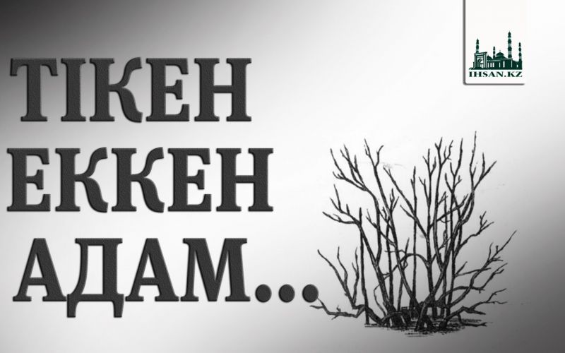 ТІКЕН ЕККЕН АДАМ...