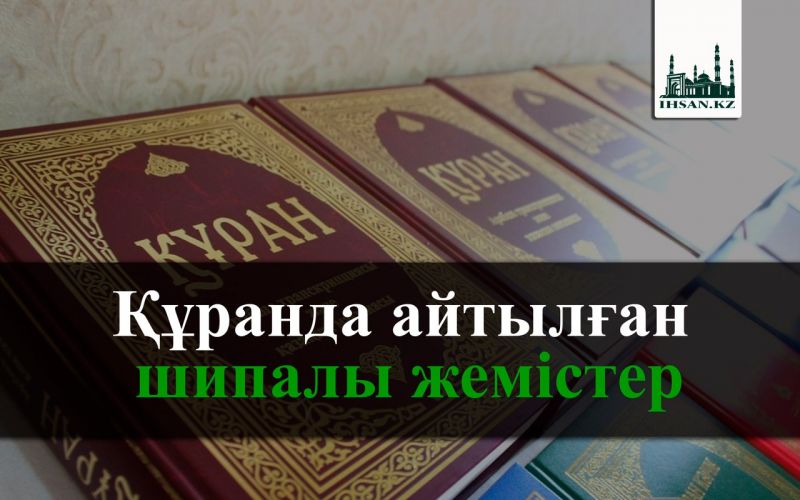               Құрандағы айтылған шипалы жемістер