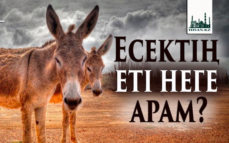 Есектің еті неге арам?