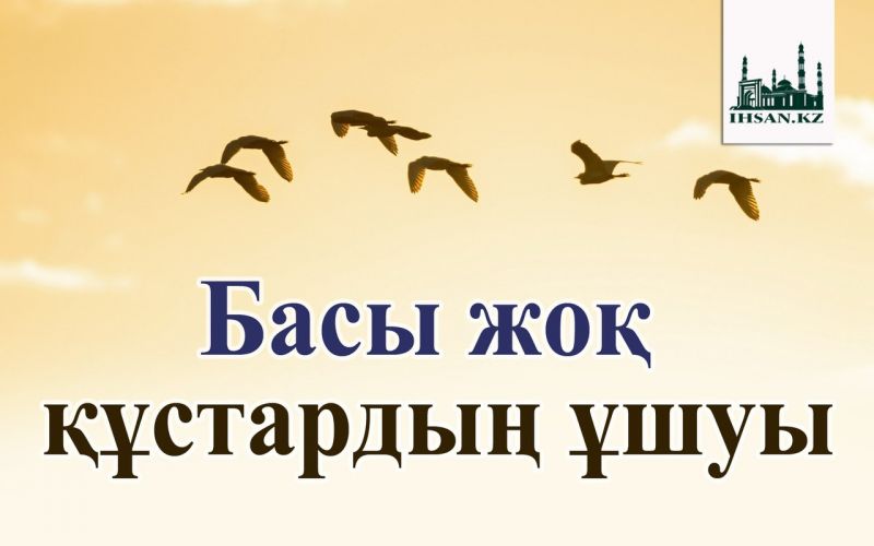 Басы жоқ құстардың ұшуы