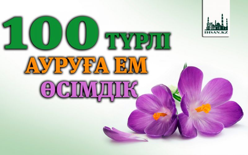 100 ТҮРЛІ АУРУҒА ЕМ ӨСІМДІК