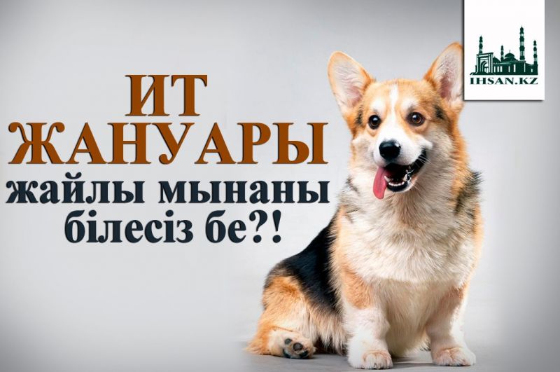 Ит жануары жайлы мынаны білесіз бе?!