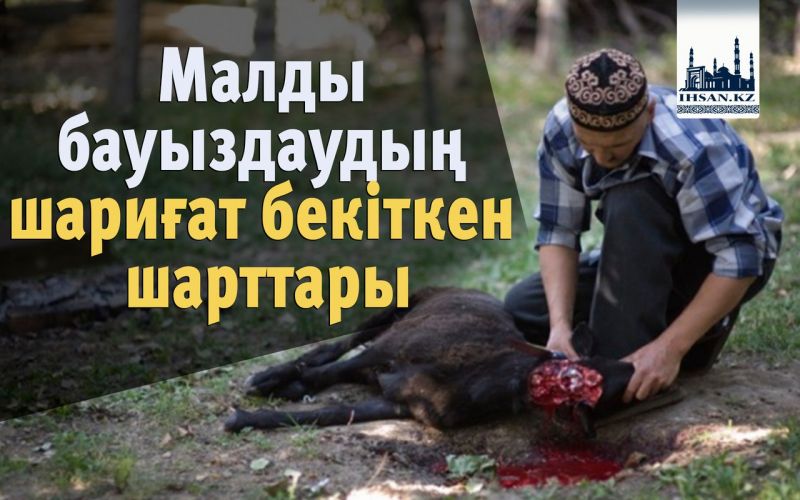 Малды бауыздаудың шариғат бекіткен шарттары 