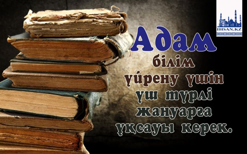 Адам білім үйрену үшін үш түрлі жануарға ұқсауы керек.
