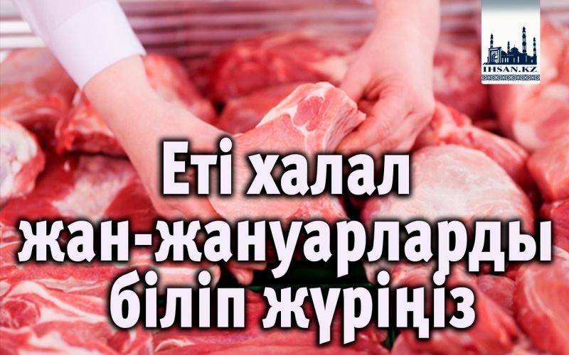 Еті халал жан-жануарларды біліп жүріңіз
