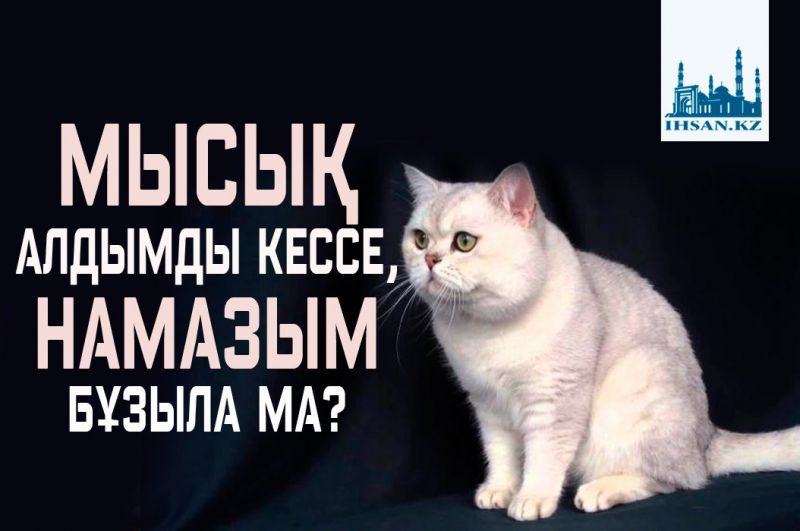 МЫСЫҚ АЛДЫМДЫ КЕССЕ, НАМАЗЫМ БҰЗЫЛА МА?