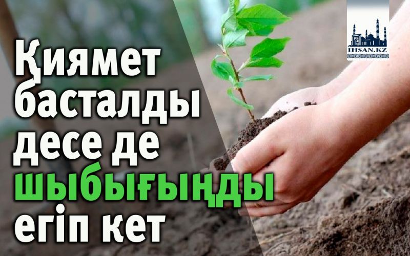 Қиямет басталды десе де шыбығыңды егіп кет