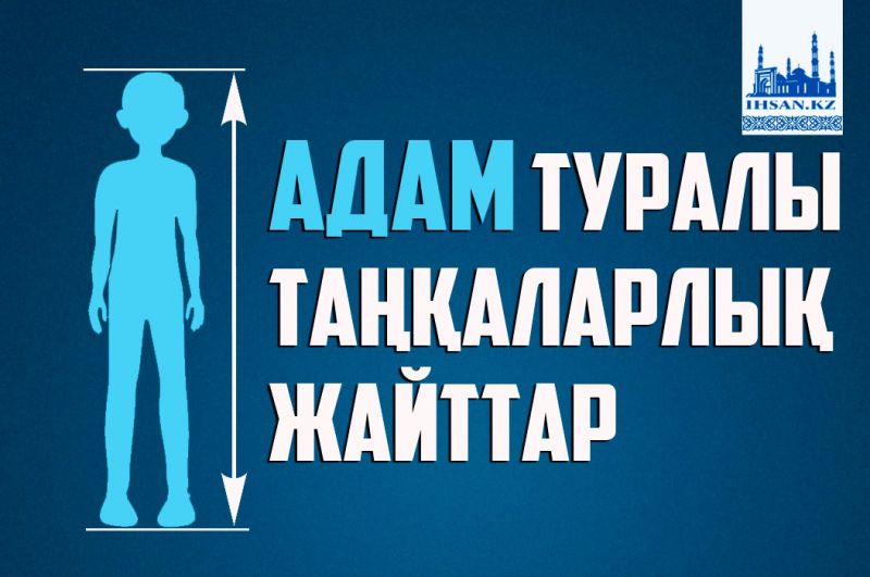 Адам туралы таңқаларлық жайттар
