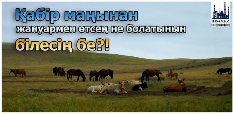 Қабір маңынан жануармен өтсең не болатынын білесің бе?!