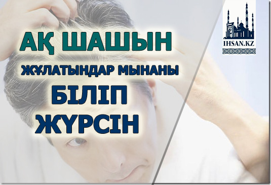 Ақ шашын жұлатындар мынаны біліп жүрсын