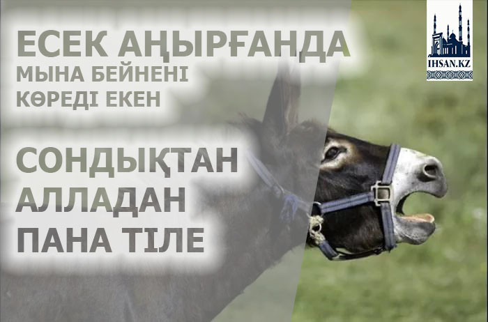 Есек аңырағанда мына бейнені көреді екен. Сондықтан Алладан пана тіле